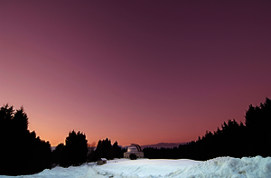 Collegamento a Stelle di Natale 2025/2026